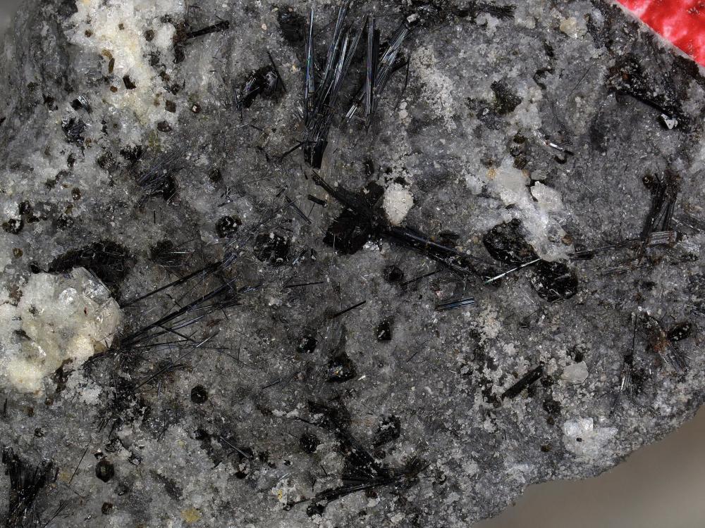Ferro-fluoro-edenite
